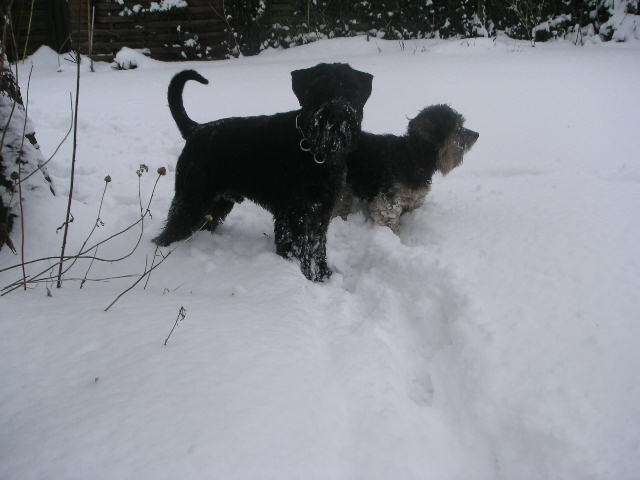 Bild 389.jpg